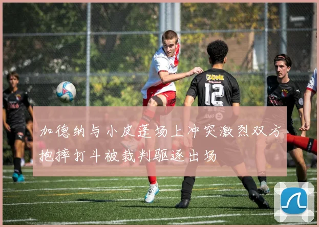 加德纳与小皮蓬场上冲突激烈双方抱摔打斗被裁判驱逐出场